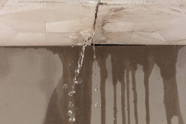 Professional Water Damage Inspection technician working in East Canton, OH